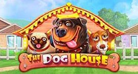 The dog house
